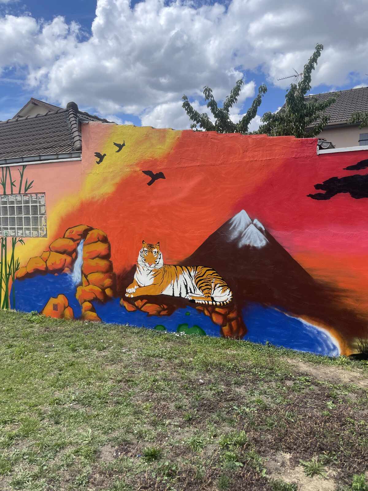 Tiger mural spray painted on the white gable wall of a house, full view